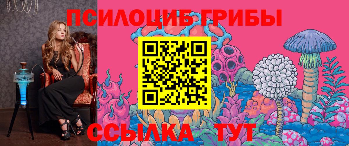 Балашов  Галлюциногенные грибы Cubensis  Вход с VPN  Псилоцибиновые грибы Psilocybine cubensis 