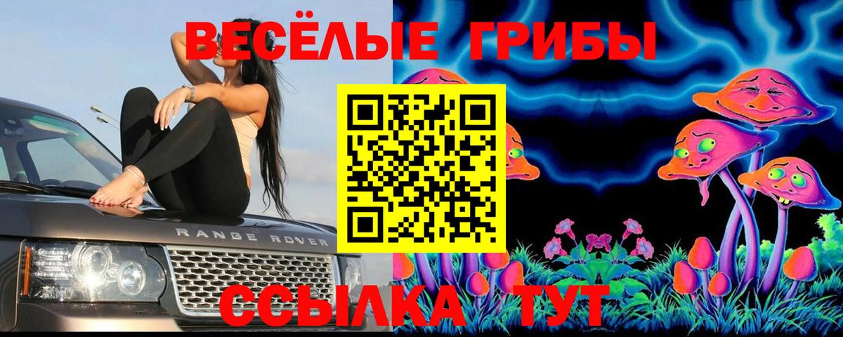 Галлюциногенные грибы прущие грибы Балашов